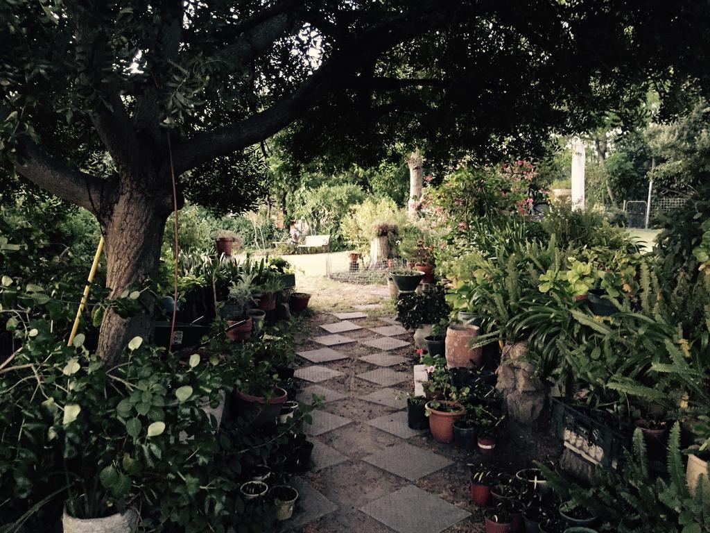 Helderbos Country House Somerset West Dış mekan fotoğraf